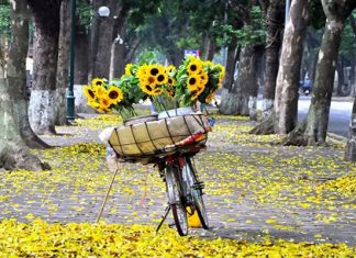 Kinh nghiệm du lịch mùa thu, khám phá những điểm đến hấp dẫn trong nước Kinh nghiệm du lịch mùa thu, khám phá những điểm đến hấp dẫn trong nước