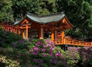 Vẻ đẹp của đền Nezu - “viên ngọc quý